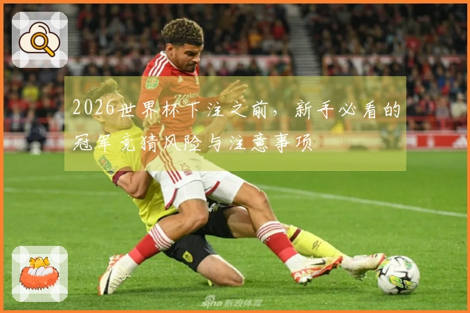2026世界杯下注之前，新手必看的冠军竞猜风险与注意事项