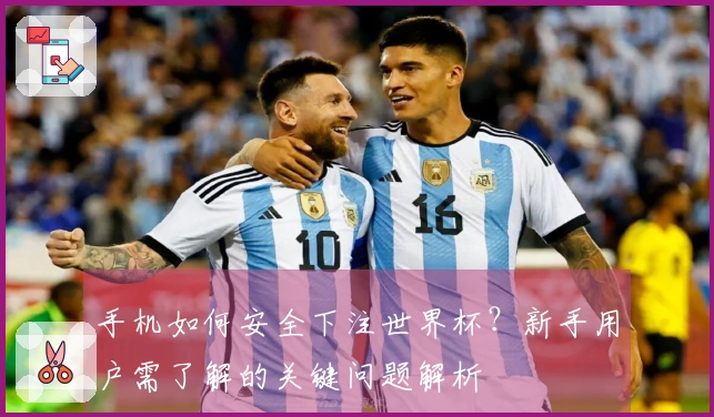 手机如何安全下注世界杯？新手用户需了解的关键问题解析