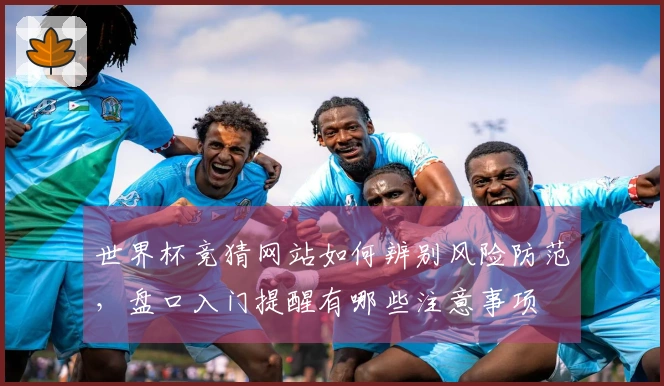 世界杯竞猜网站如何辨别风险防范，盘口入门提醒有哪些注意事项