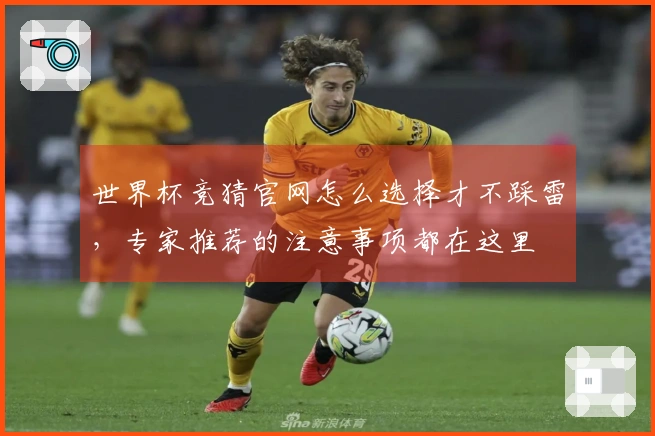 世界杯竞猜官网怎么选择才不踩雷，专家推荐的注意事项都在这里