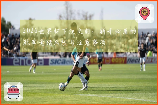 2026世界杯下注之前，新手必看的冠军竞猜风险与注意事项